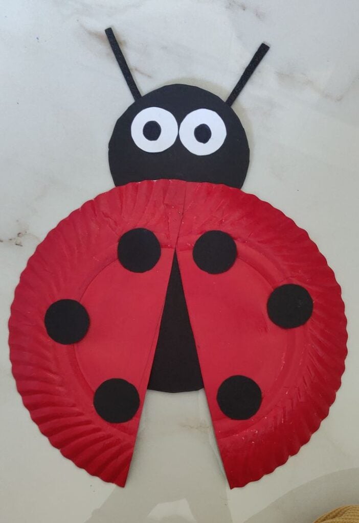 Paper Plate Ladybug