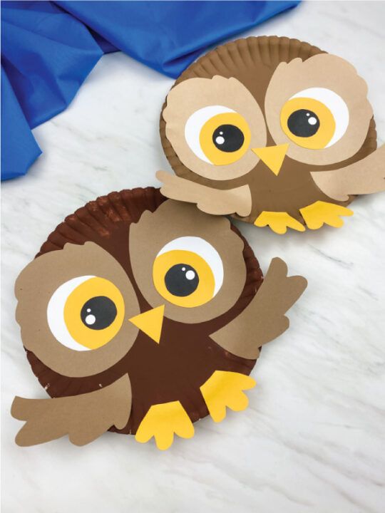 Paper Plate Owl Face