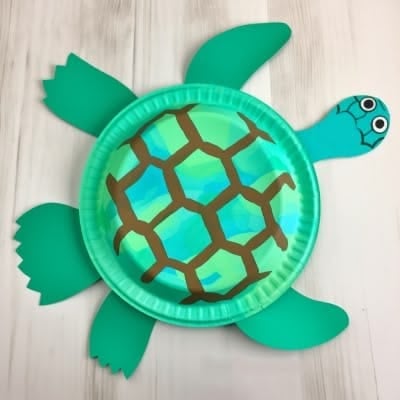 Paper Plate Turtle