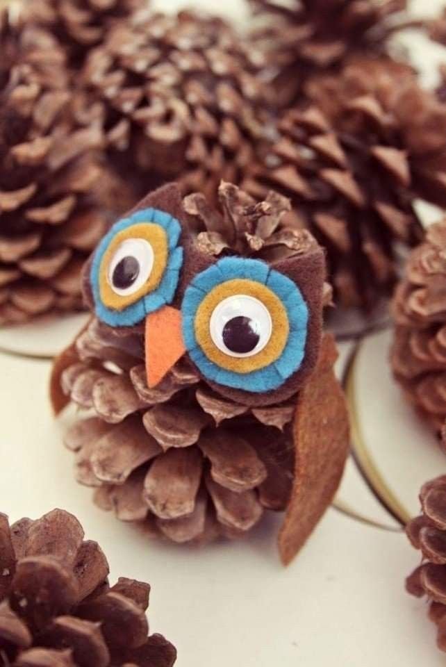 Pine Cone Owl