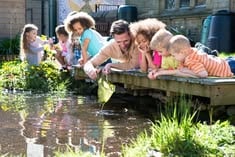 Pond Dipping