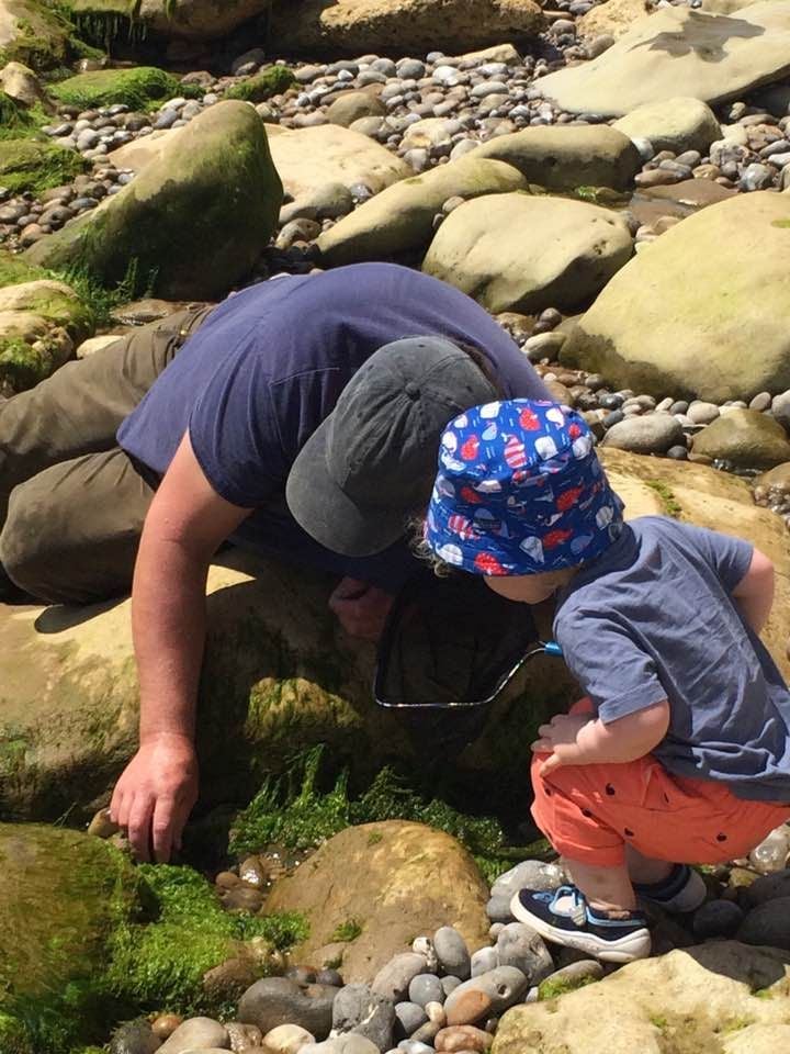Rock Pooling Adventure