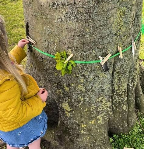 STEM Scavenger Hunt