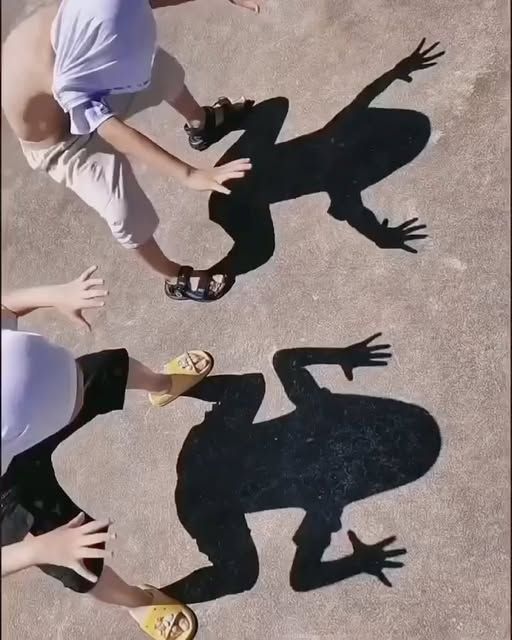 Shadow Tracking Investigation