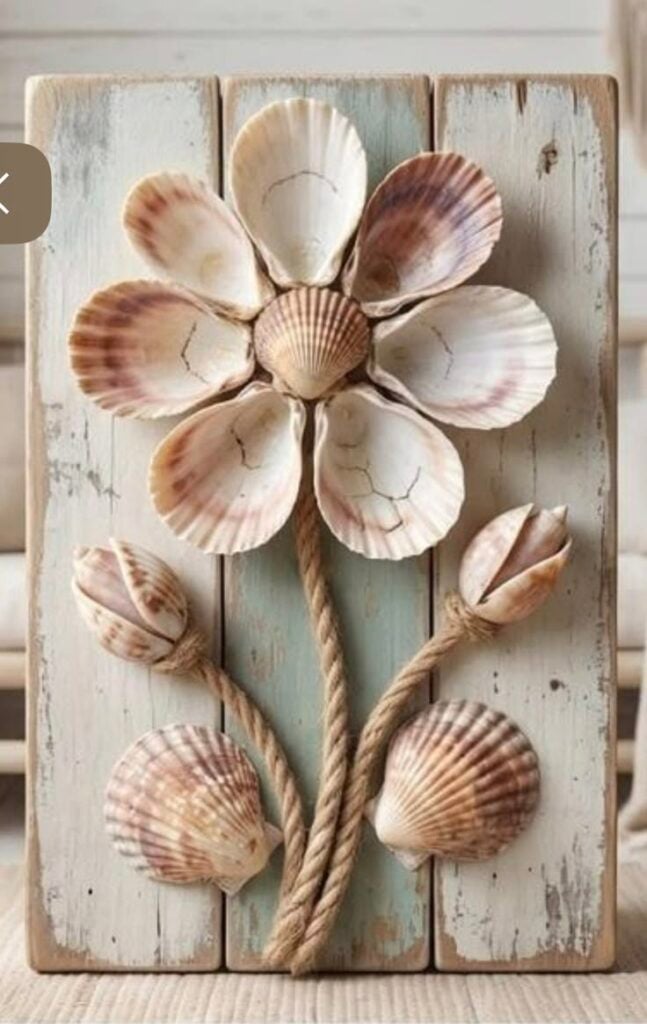 Shell Art Designs