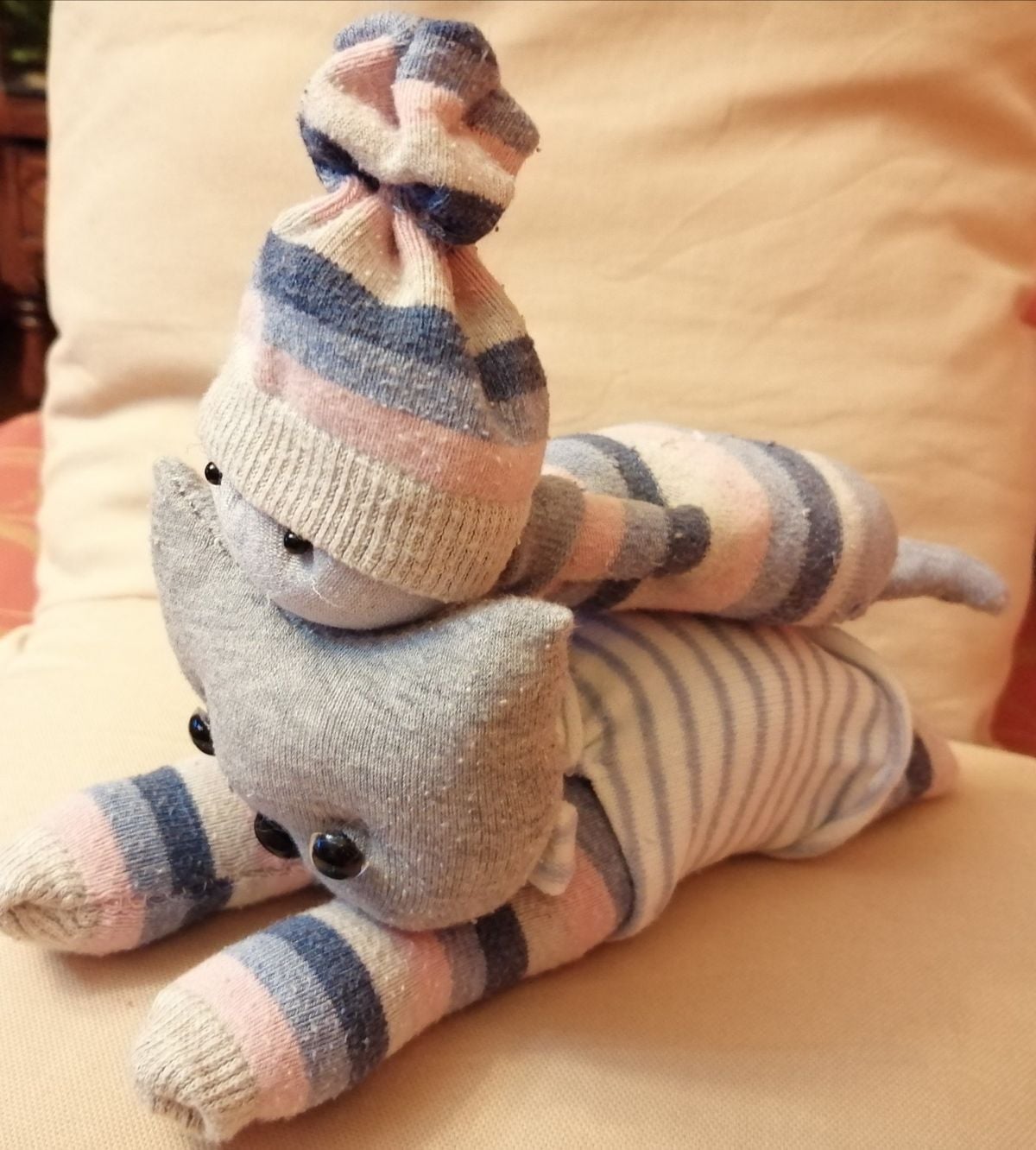 Sock Cat