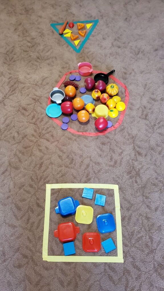  Sorting Household Objects