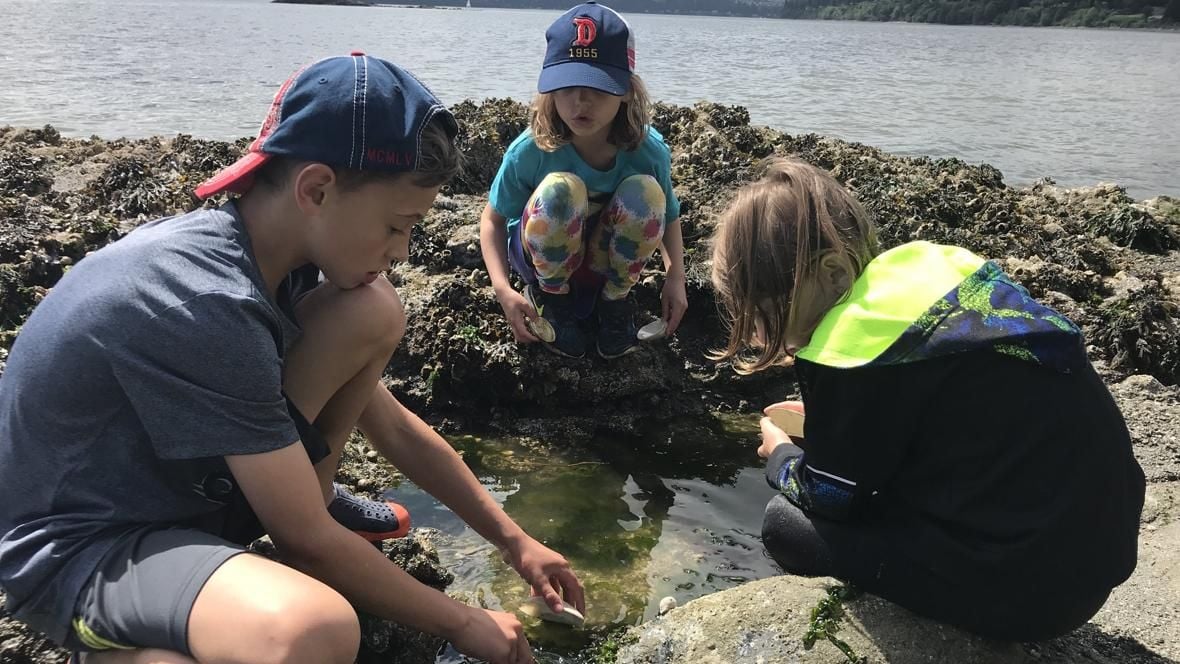 Tide Pool Time Lapse