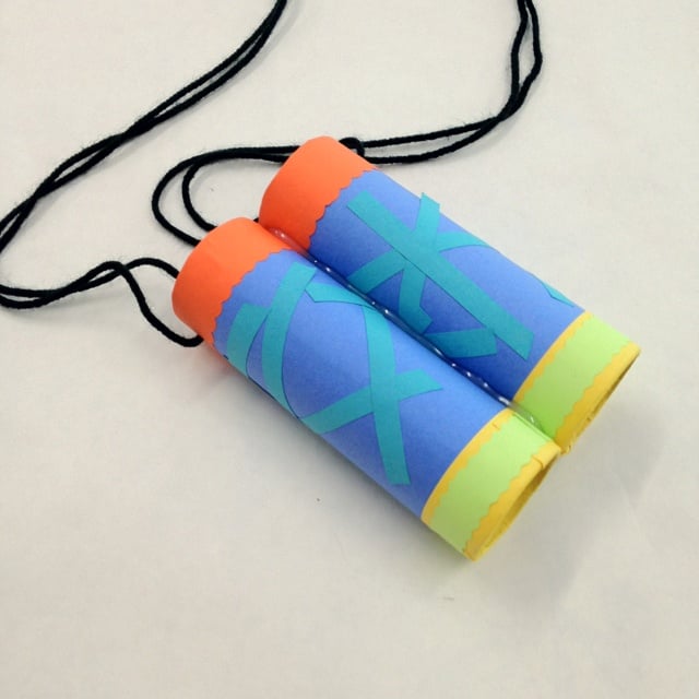 Toilet Paper Roll Telescopes
