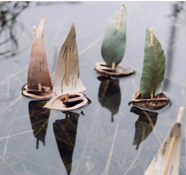 Tree Bark Boats
