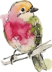 Watercolour Bird