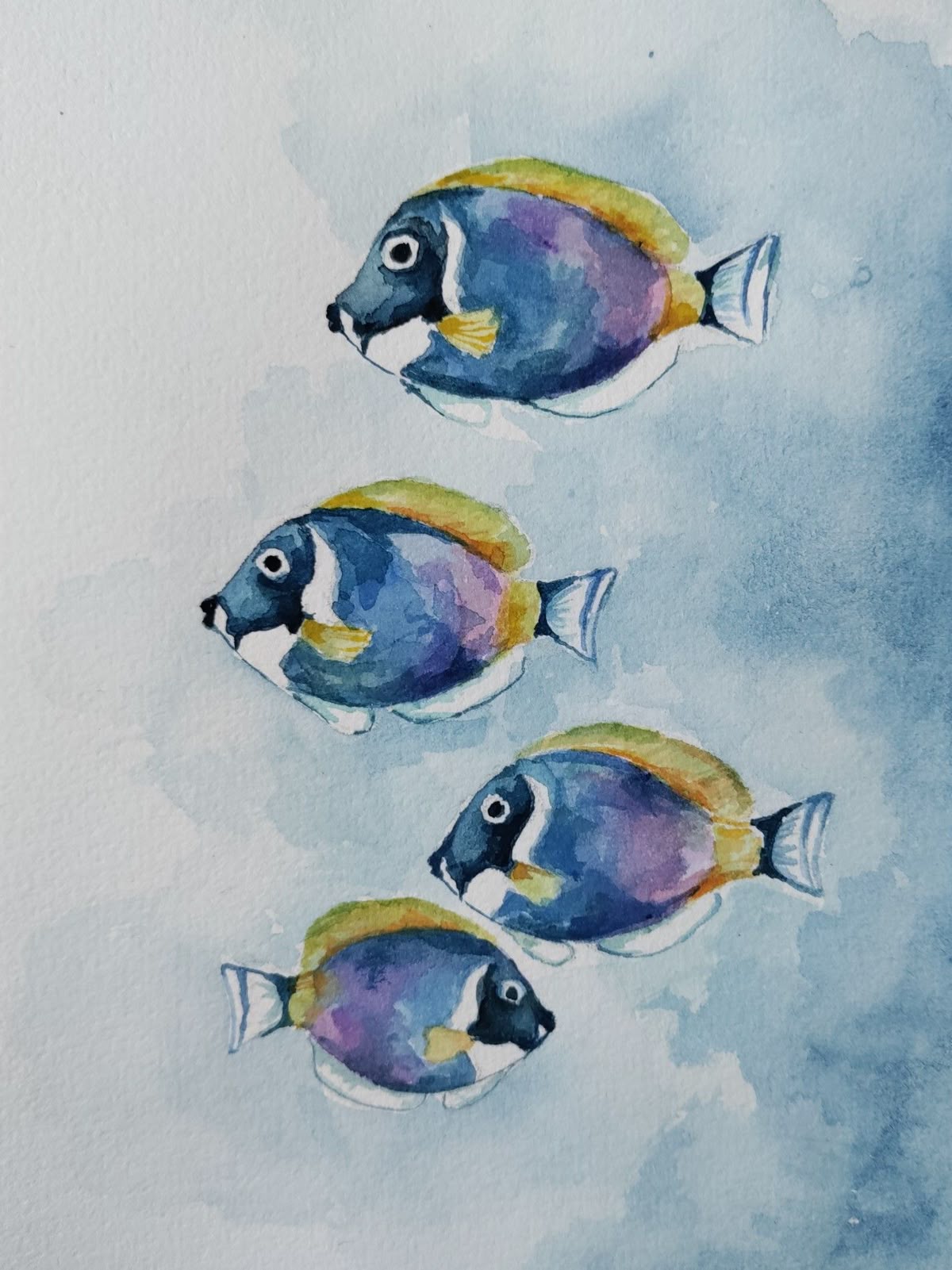 Watercolour Fish