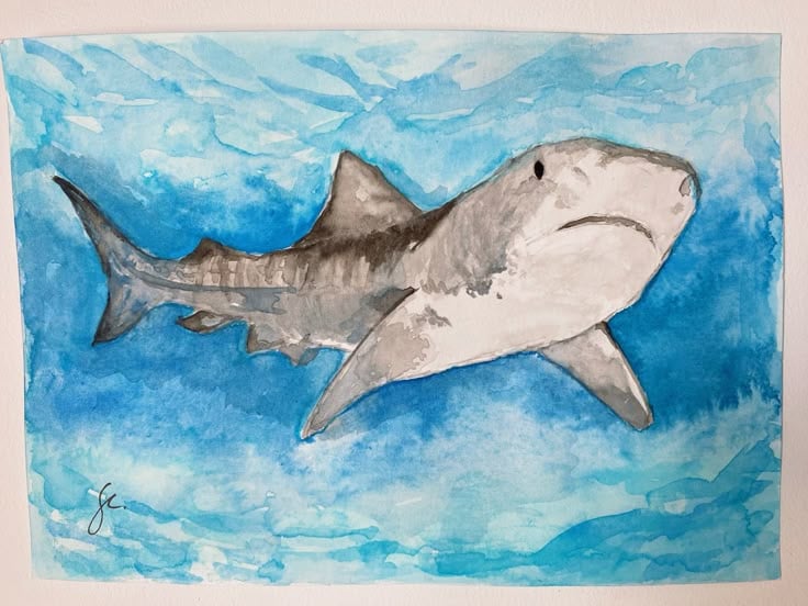 Watercolour Shark