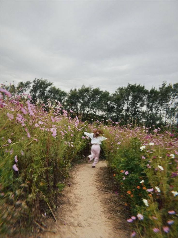 Wild Flower Meadow Walk