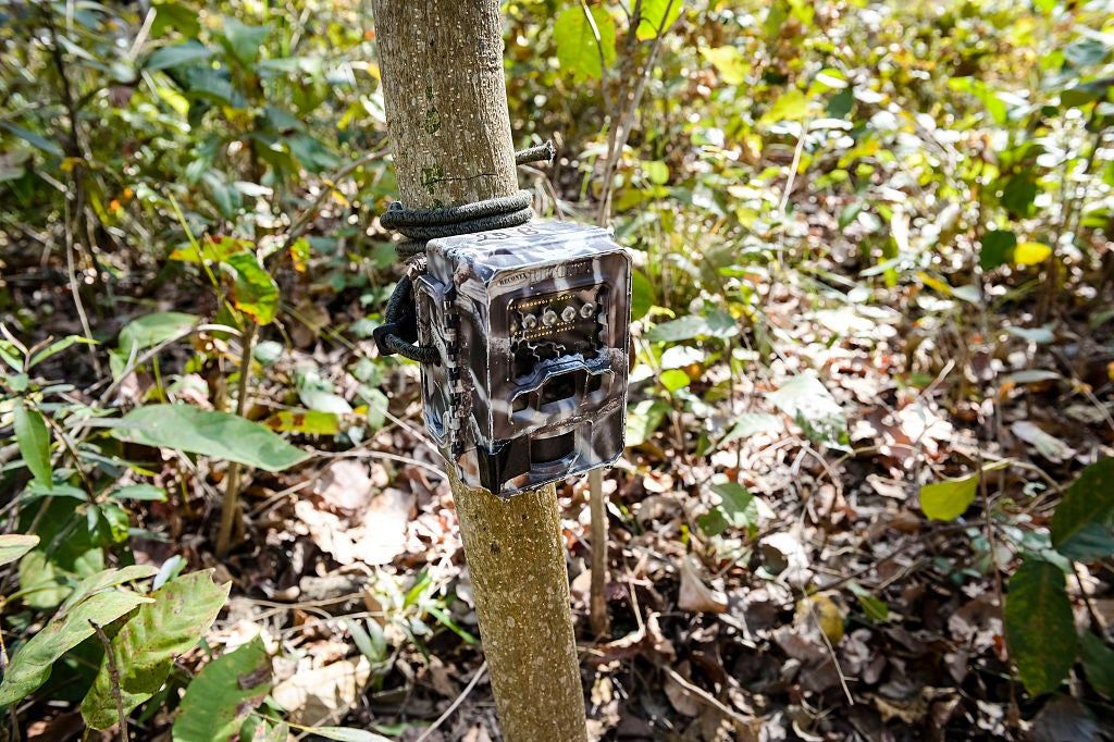 Wildlife Camera Trap