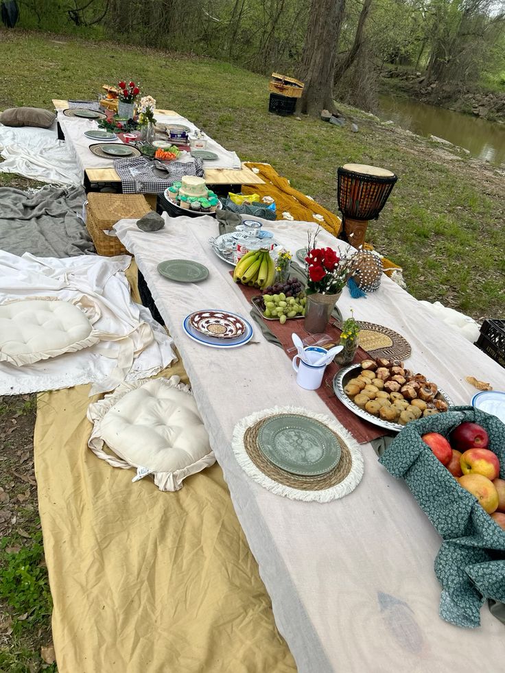 DIY-Backyard-Picnic-Birthday-Party-Ideas-For-Adults-On-A-Budget