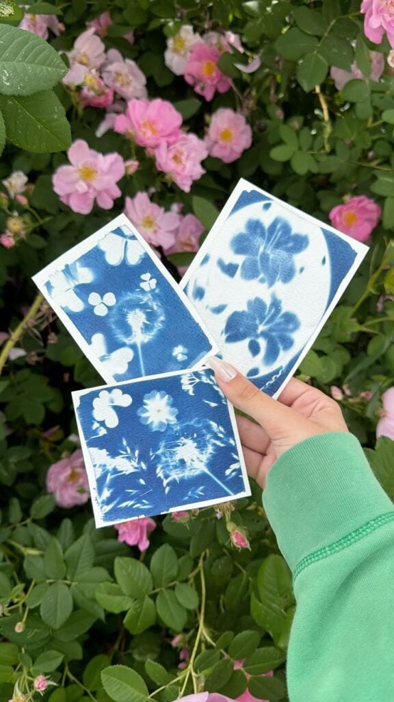  Cyanotype-Sun-Prints-With-Leaves.
