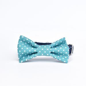 Dog-Bow-Tie