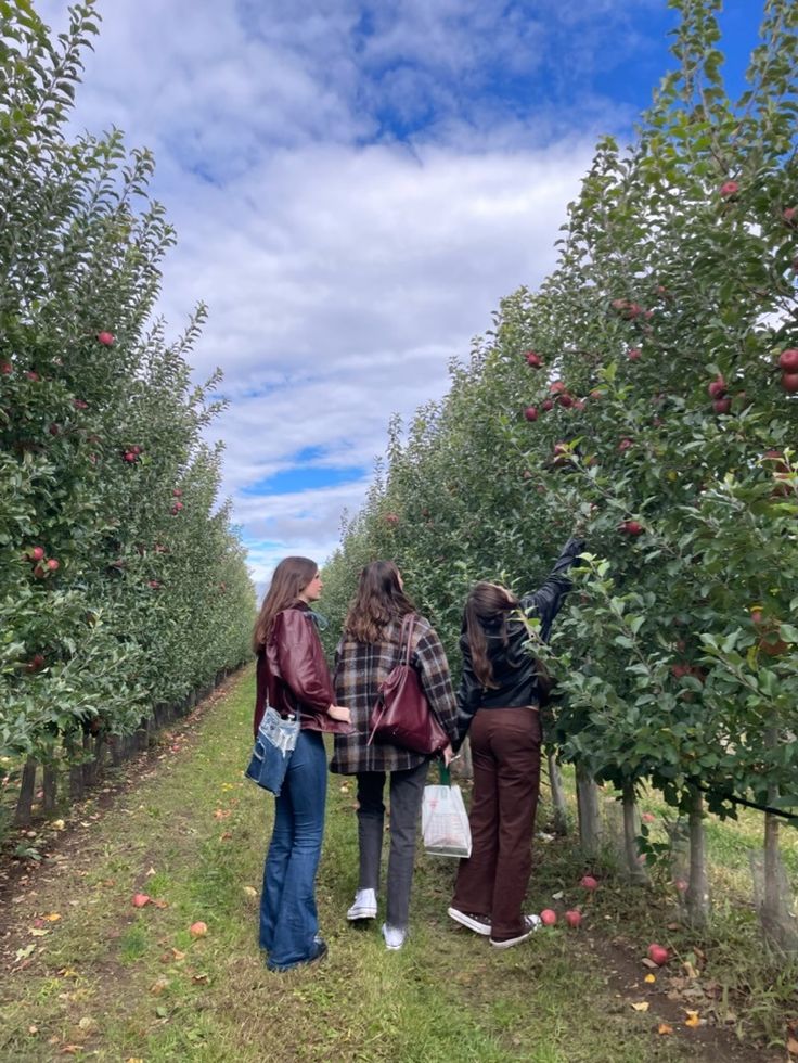 Go-Fruit-Picking