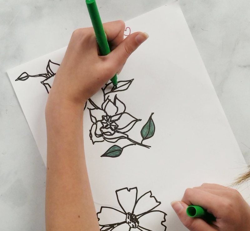 Hand-Drawn-Illustration-Transfer-for-a-Tote.