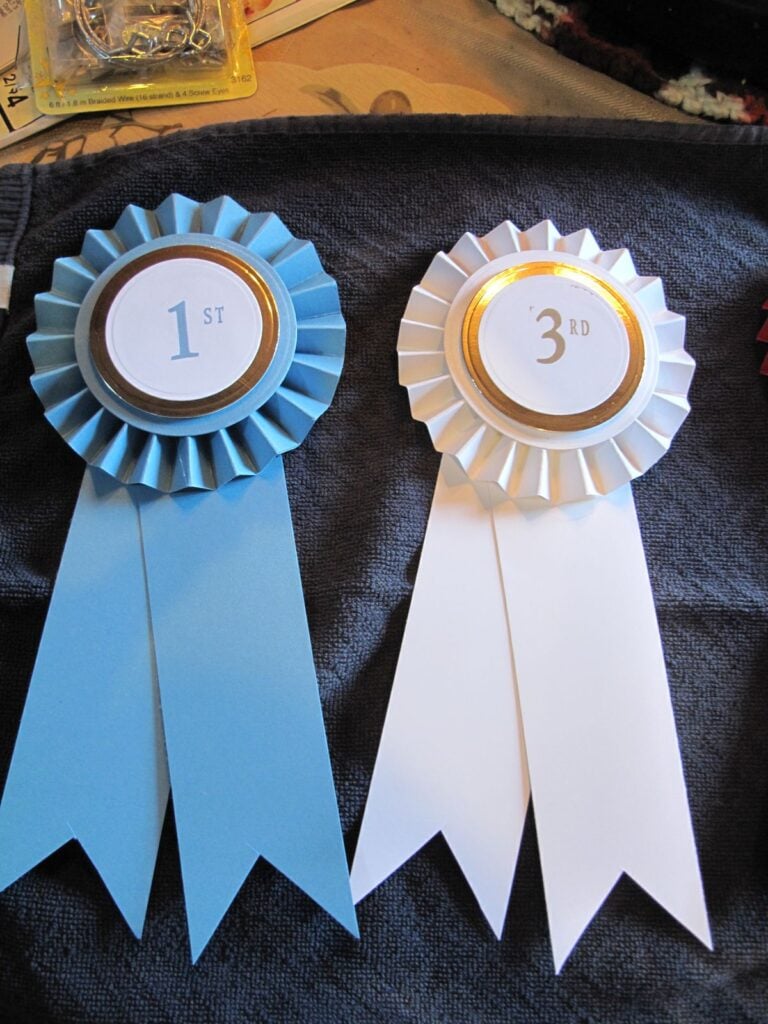 Paper-Award-Rosettes
