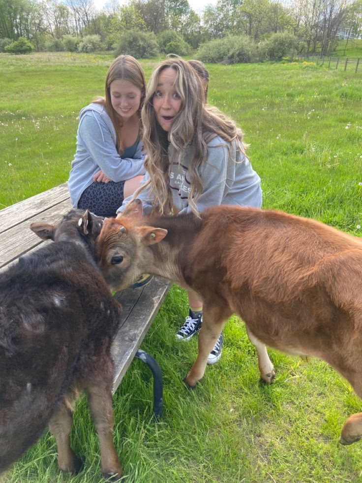 Visit-a-Farm-or-Animal-Sanctuary-Fun-Birthday-Experiences-to-Try-Instead-of-a-Party